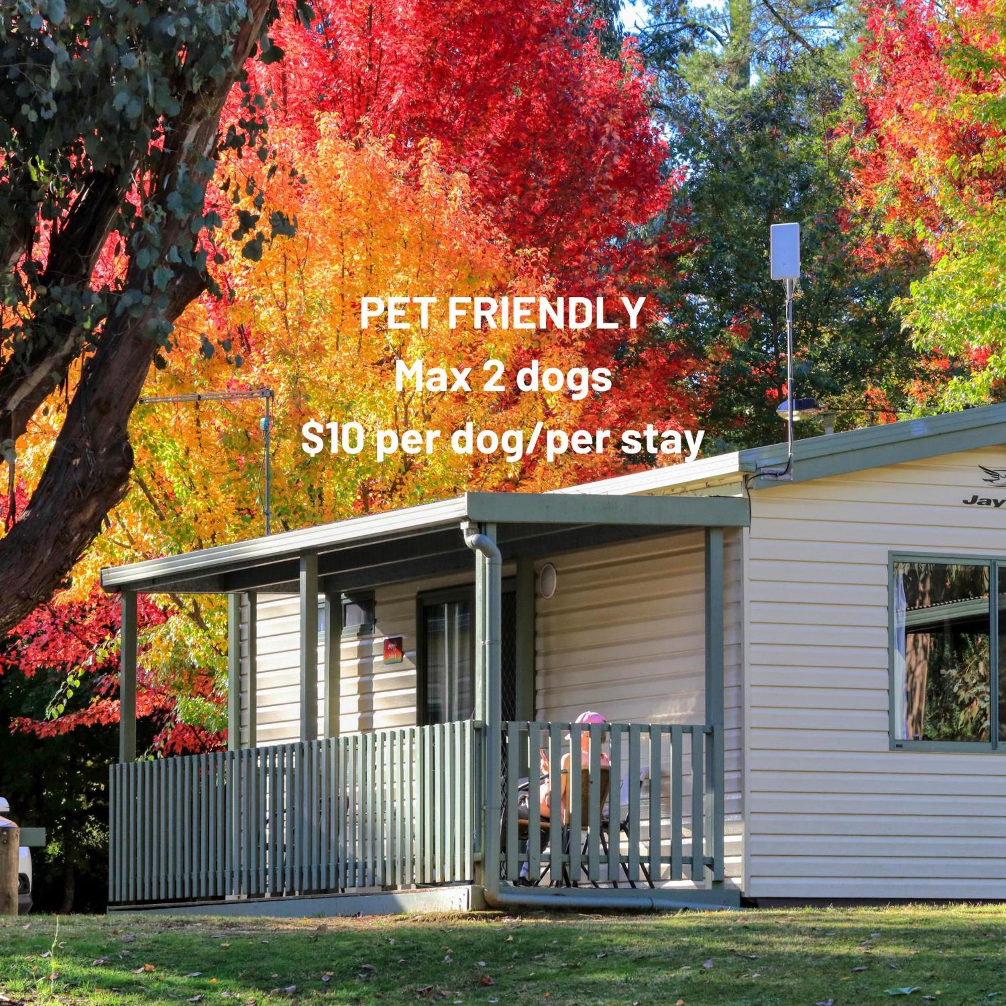 Beechworth Lake Sambell Caravan Park Exterior photo